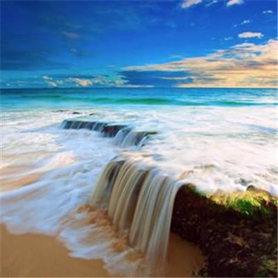 im电竞官网app下载