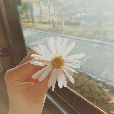 澳门·威斯尼斯wns888入口app下载